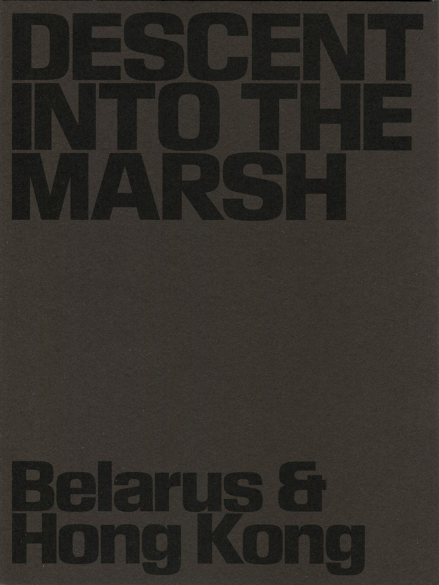 DESCENT INTO THE MARSH