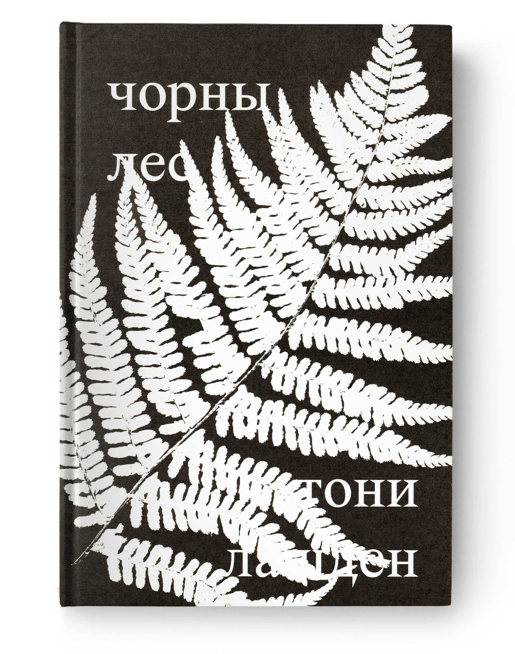 чорны лес